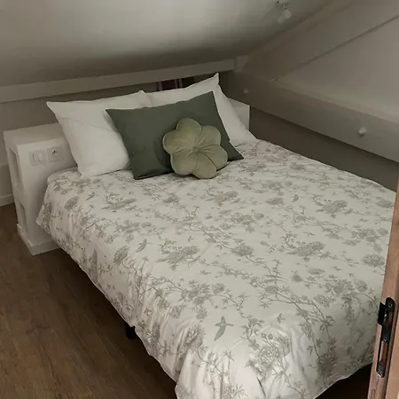 Au-lac Loft Renove En 2024 *