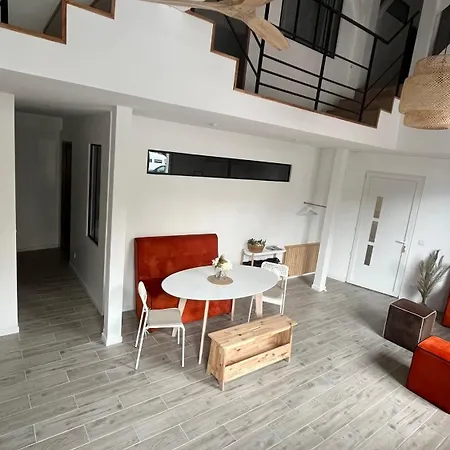 Au-lac Loft Renove En 2024 Ferienhaus Lourdes